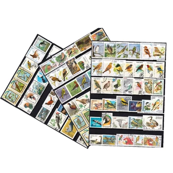 50 бр. пощенски марки с птици на различна тематика, без повторение, неизползван, С пощенска марка, марка за събиране на