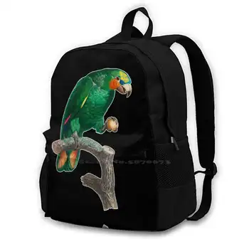 Зелен Папагал на жердочке Раница за училище, ученик, чанта за лаптоп, чанта, папагал-костур, зелена Птица, малка, цветна, реколта, ръчно рисувани на ръка
