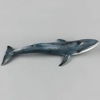 Модел PVC Играчка Имитация на животински Подарък 27 см Кит в Океана на Живота морски лъвове Животни-Детски модул за обучение подарък